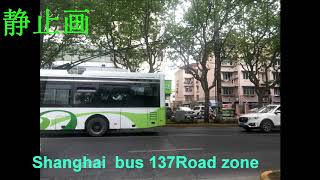 【公交音MAD】【静止画版】Shanghai bus 137Road Zone