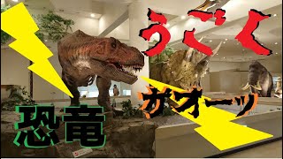 【恐竜】ティラノサウルスとトリケラトプス 動き吼える恐竜！ 愛媛県総合科学博物館