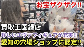 愛知県の穴場ショップだった‼︎【買取王国緑店】でブラショ‼︎あまり見掛けない珍しい掘り出し物【エヴァ】フィギュアがたくさん(๑˃̵ᴗ˂̵)‼︎