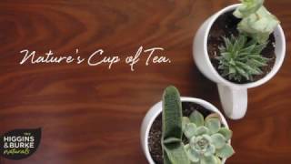 DIY Teacup to Planter in Just 3 Steps