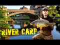 RIVER CARP FISHING CAMPAIGN