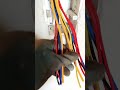 Wiring in one Board #shorts #shortvideo #shortsfeed #mukhlis #engineering #electrician Mukhlis