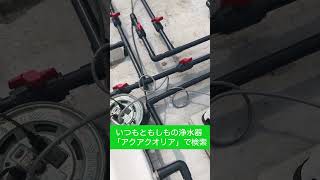 雨水タンク　雨水利用　災害対策浄水器　逆浸透膜浄水器　#Shorts