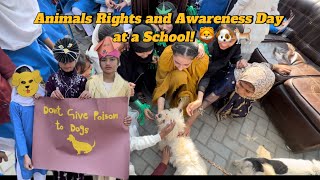 Animal Rights and Awareness Day at a School! 🐈 The Crazy Cats