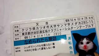 玩具19　【なめ猫：運転免許証　又吉】