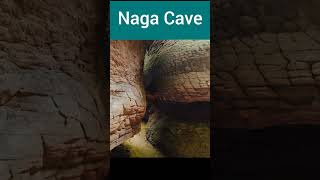 ഭീമാകാരമായ പാമ്പിന്റെ രൂപമുള്ള ഗുഹ #shortvideo #viralshorts  #snakecave