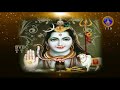 శ్రీమద్ దేవీభాగవతం srimad devibhagavatam ep 11 13 02 19 svbc ttd