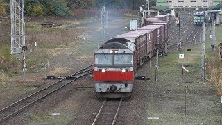 2019.10.20 撮影　遠軽駅　石北貨物 玉ねぎ列車　☆北鉄路漫604