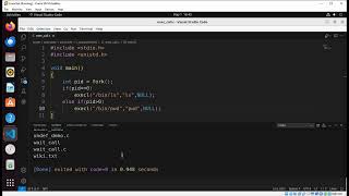 How to implement exec system call using C program