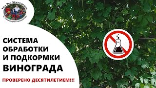 Система обработки и подкормки винограда #ТриЭкоВиноградник