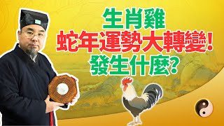 生肖雞，你蛇年運勢大轉變！大難已過、苦盡甘來，蛇年接下來全是好運！屬雞人必看！ #2025年生肖雞運勢 #2025年生肖雞運程 #2025年屬雞運勢 #2025年屬雞運程