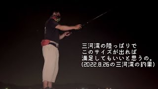 三河湾の陸っぱりでこのサイズが出れば満足してもいいと思うの。(2022.8.26の三河湾の釣果)