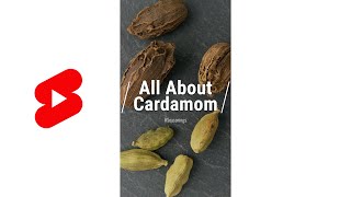 All About Cardamom #Shorts