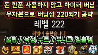 [메이플스토리 맑음] 하이퍼 버닝 돈 한푼 사용하지 않고 무자본으로 버닝서버 220레벨 찍기 완벽 공략! / 꿀팁 / 육성루트 / 노하우 / 유니크엠블렘 / 버닝 스텝업 미션 공략