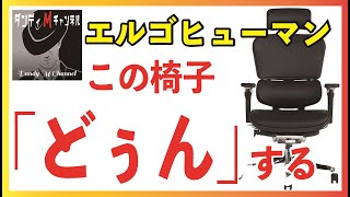 エルゴヒューマンPROレザー　この椅子「どぅん」する！　レザータイプとメッシュタイプの違い