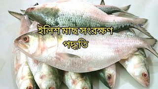 স্বাদ বজায় রেখে সারা বছরের জন্য ইলিশ মাছ সংরক্ষণ পদ্ধতি।