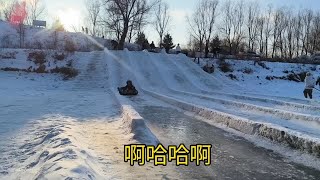 欢迎南方小土豆来东北，体验东北的乐趣《雪地里撒欢》