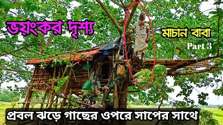 প্রবল ঝড়ে সাপের সাথে রাত কাটান মাচান বাবা || ২০ বছর ধরে গাছের ওপরে থাকেন || Machan Baba Nabadwip