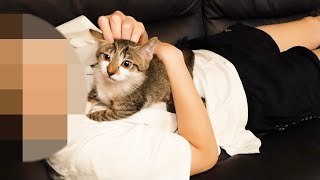 寝ている妹と添い寝していたはずの子猫が大暴走…！【保護猫】