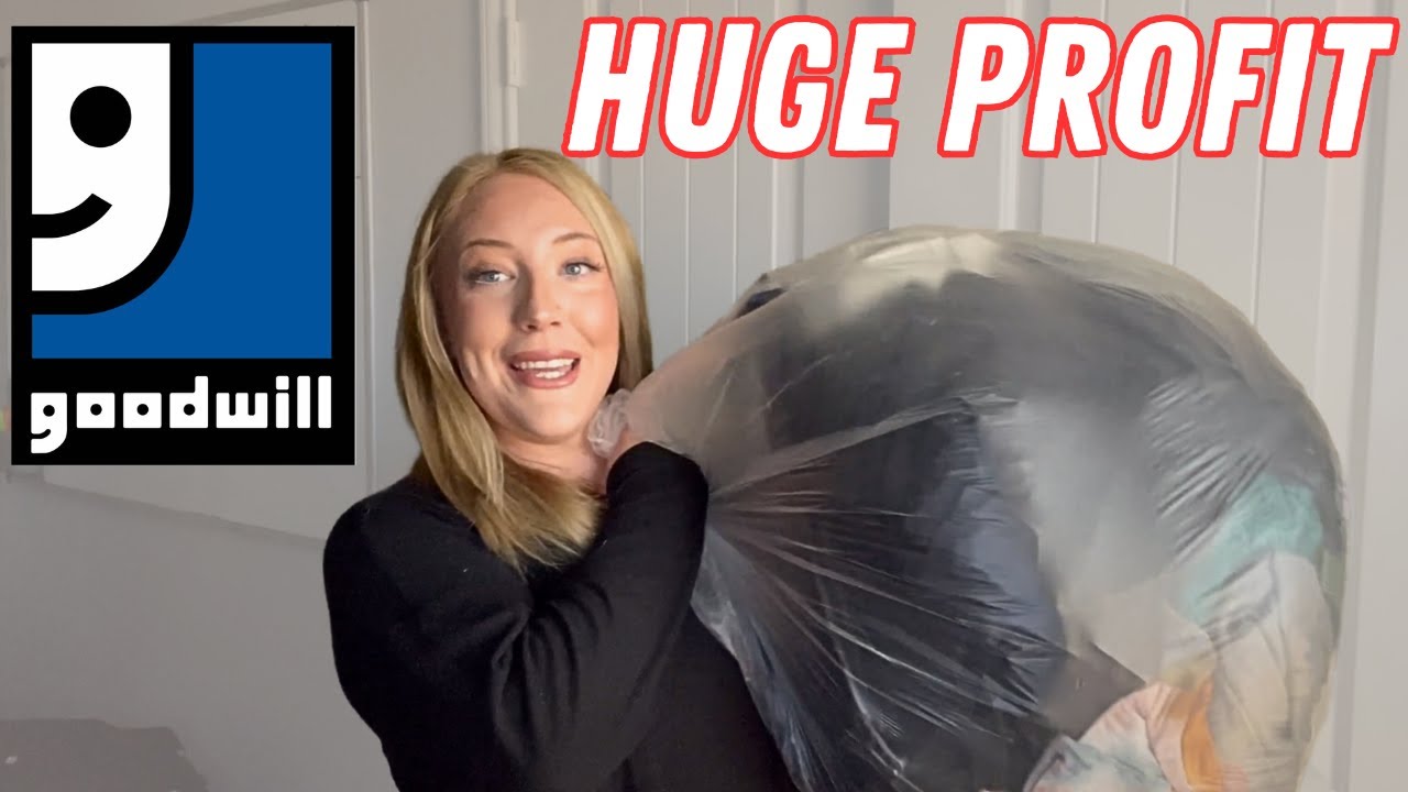Insane Goodwill Bins Haul Youtube