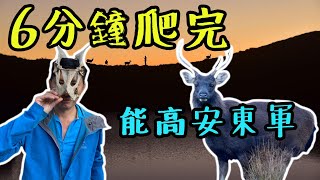 【台客爬山】Vlog#29 能高安東軍第一集 | 奇萊南華 | 水鹿大軍 | 滿天星斗 | 一次擁有 | 上集