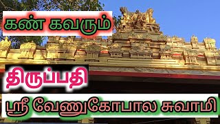 Sri Venugopala Swamy Tirumala | திருப்பதியில் இப்படி ஒரு இடமா? Hidden Temple in Tirumala |