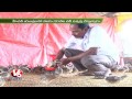 techniques for poultry farming l japanese quail birds v6 news