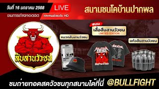 🔴ถ่ายทอดสดวัวชน | สนามกีฬาชนโคบ้านปากพล วันที่ 16/1/68 #วัวชนเงินล้าน #วัวชน #วัวชนวันนี้