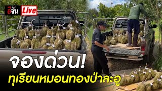 Live จองด่วน! ทุเรียนหมอนทองป่าละอู | อีจัน EJAN