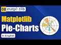 Matplotlib Pie-Charts | Drawing a Pie-Charts using Matplotlib [English] #8