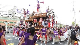 神戸市東灘区　御影だんじりパレード　2017年5月3日(水)