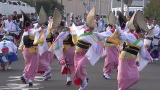 阿波踊り ちどり連 \u0026ざまりん\u0026ブタッコリーのコラボ!!海自厚木2019夏の思い出!!