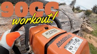 90cc Workout, MS660 Chainsaw