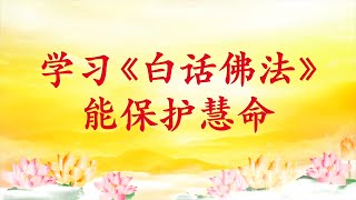 卢台长【节目录音】学习《白话佛法》能保护慧命