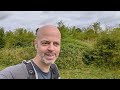 bird photography yellowhammers and linnets in staffordshire