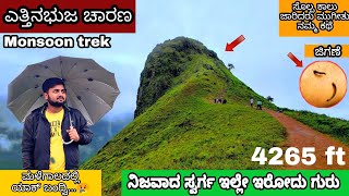 | ಎತ್ತಿನಭುಜ |Ettina Bhuja Trekking vlog |Sakleshpura|