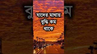 যাদের মাথায় বুদ্ধি কম থাকে, তারা এই ৫টি ভুল..Best Motivational Video #motivation #shorts