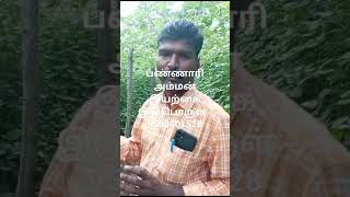 இரசாயனம் இல்லாத காய்புழு ,கொசு, பூச்சிகள் கட்டுப்பாடு