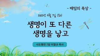 [9월 7일 화요일] 매일의 묵상ㅣ사도행전 7장ㅣ이철규 목사