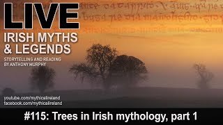 Live Irish Myths episode #115: Trees in Irish myth and folklore, part 1: The Yew Tree