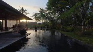 VR180 3d 5k Sunset  | Ubud, Bali
