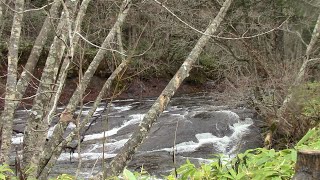 自然からの贈り物（川編）