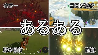 【みんなは共感する？】ティアキンで9割が経験したあるある集【ティアキン】