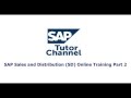 SAP Sales and Distribution SD Online Training Part 2