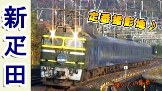 【EF81日本海・485系雷鳥・419系】 北陸本線 新疋田 【2006年撮影】