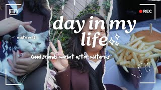 a day in my life | downtown toronto, vintage market, death and taxes ft. a cat!