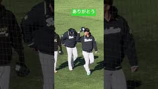 今野選手ありがとう！ヤクルトスワローズファン感2024