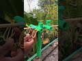 bamboo creations with new archer and arrow episode 359 bamboo diy slingshots bambooart