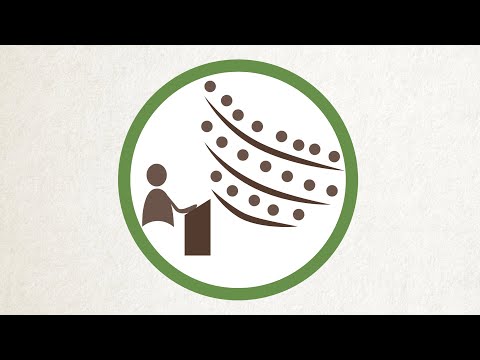 What are the main functions of legislature?