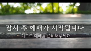 구세군노원교회님의 실시간 스트림